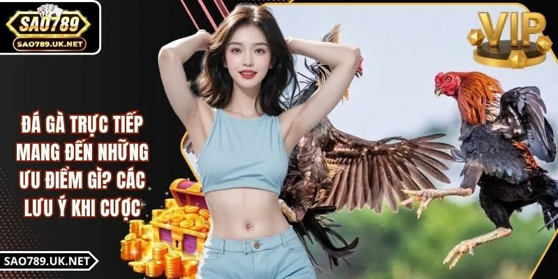 Đá Gà Trực Tiếp Mang Đến Những Ưu Điểm Gì? Các Lưu Ý Khi Cược