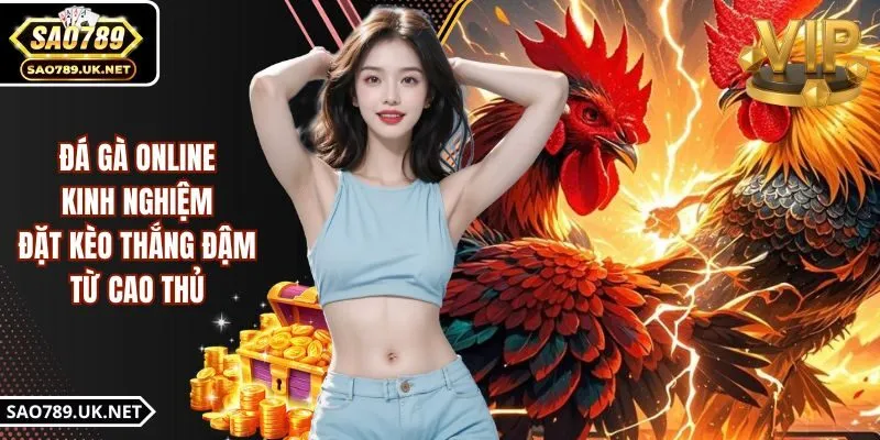 Đá Gà Online - Kinh Nghiệm Đặt Kèo Thắng Đậm Từ Cao Thủ