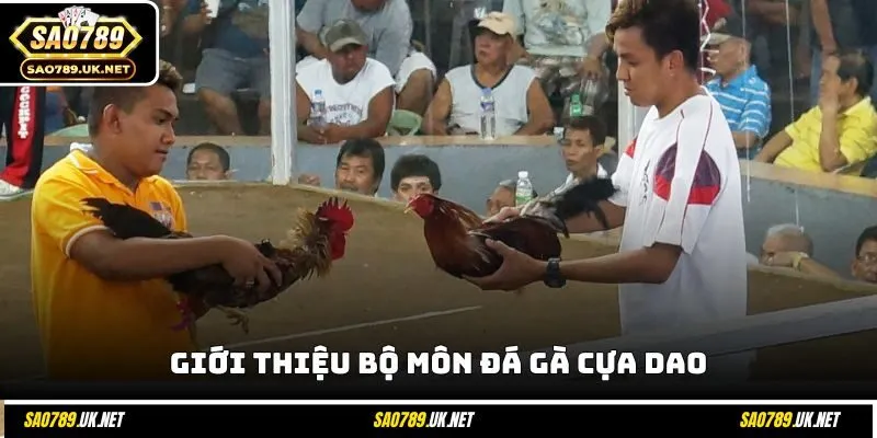 Giới thiệu bộ môn đá gà cựa dao