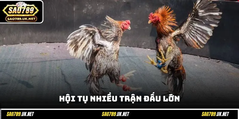 Hội tụ nhiều trận đấu lớn