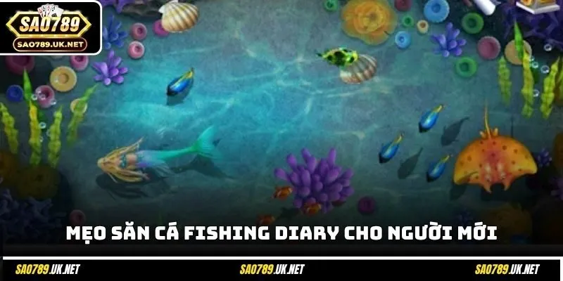 Mẹo săn cá Fishing Diary cho người mới