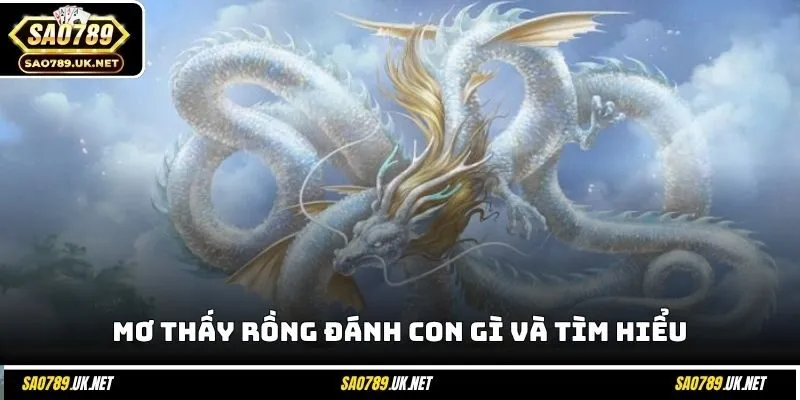 Mơ thấy rồng đánh con gì và tìm hiểu