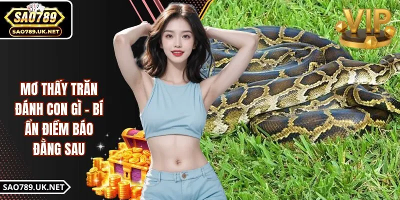 Mơ Thấy Trăn Đánh Con Gì | Giải Mã Chính Xác Ẩn Số