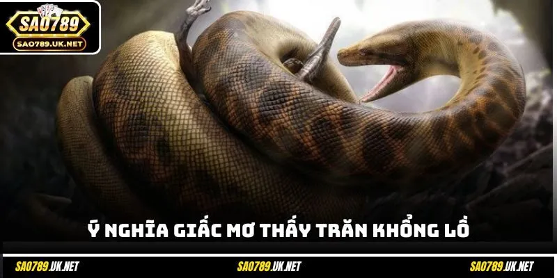 Ý nghĩa giấc mơ thấy trăn khổng lồ